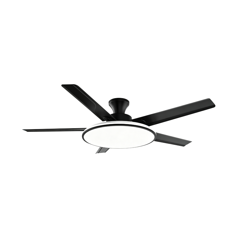 Geleneksel Fan Lambası Geleneksel Fan Lambası
