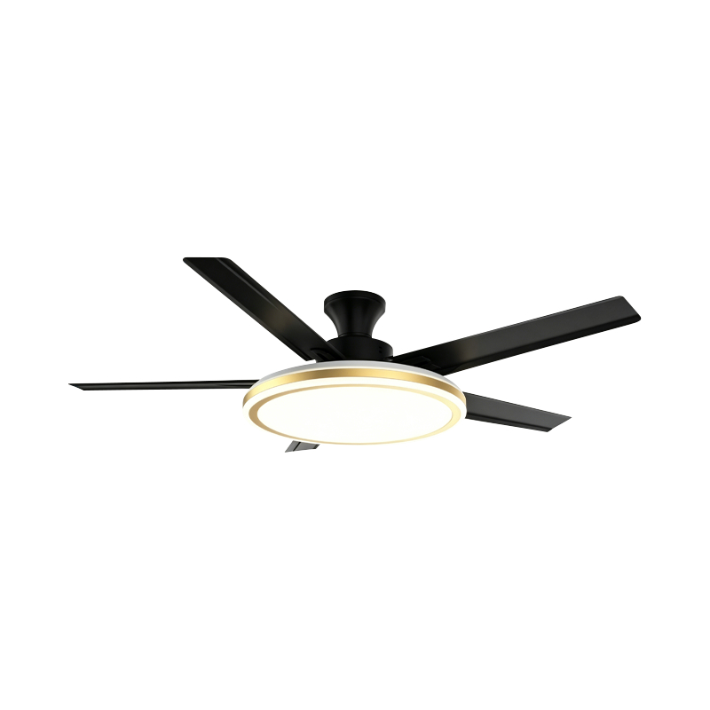 Geleneksel Fan Lambası Geleneksel Fan Lambası