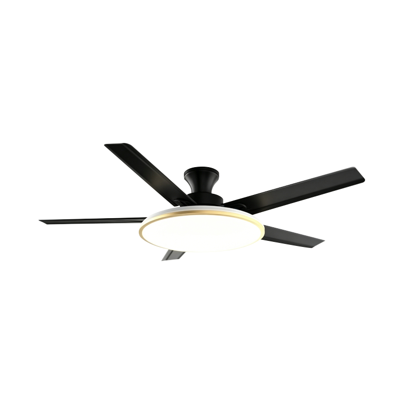 Geleneksel Fan Lambası Geleneksel Fan Lambası