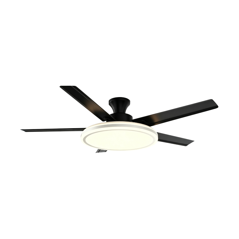 Geleneksel Fan Lambası Geleneksel Fan Lambası