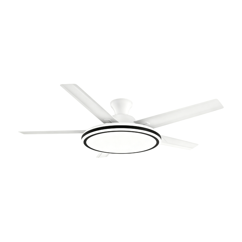 Geleneksel Fan Lambası Geleneksel Fan Lambası