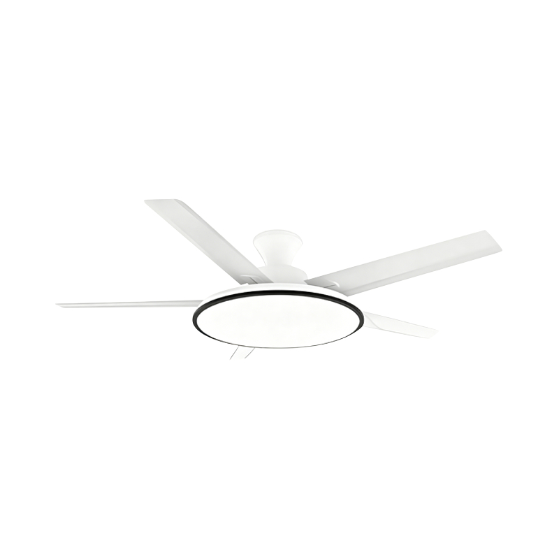 Geleneksel Fan Lambası Geleneksel Fan Lambası