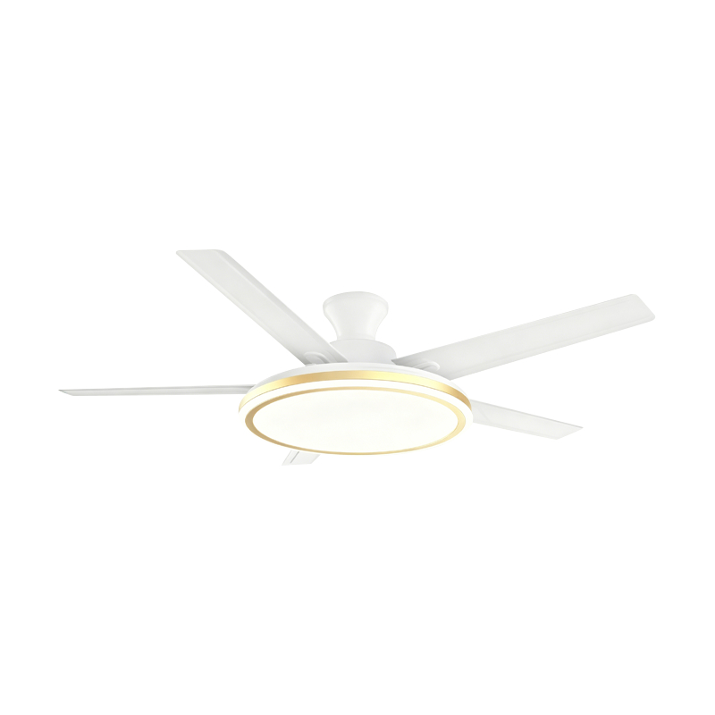 Geleneksel Fan Lambası Geleneksel Fan Lambası