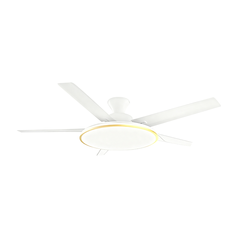 Geleneksel Fan Lambası Geleneksel Fan Lambası