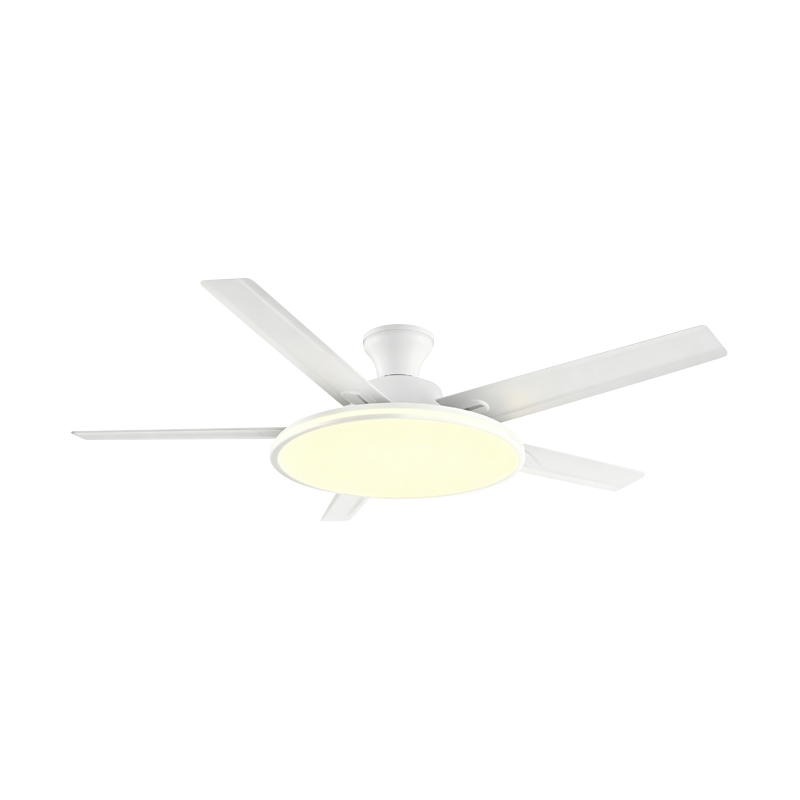Geleneksel Fan Lambası Geleneksel Fan Lambası
